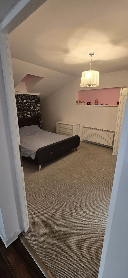 BRASADAS vinde casa  tip P+M in Bercu Roșu. - Poză 8