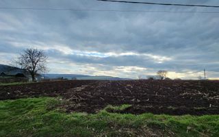 Teren intravilan 5400 mp, Tătăruși, județul Iași – acte la zi - Poză 5