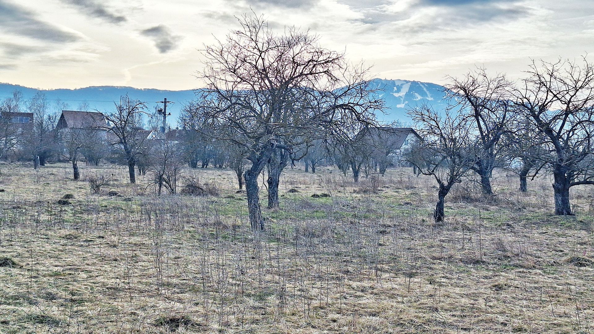 Teren intravilan pentru Investitie!!!,933mp in Ghimbav, 50 euro/mp neg. - Poză 14