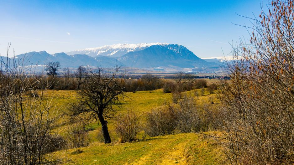 Teren 6 Hectare cu PUZ pentru Resort Turistic panorma Muntii Piatra Craiului - Poză 10