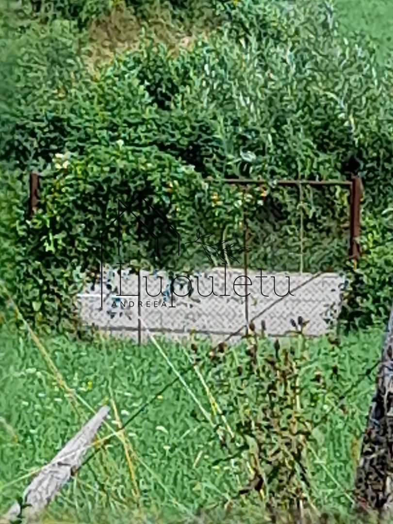 Teren Intravilan | 1500 MPU | Tocile, Comuna Sadu - Poză 3