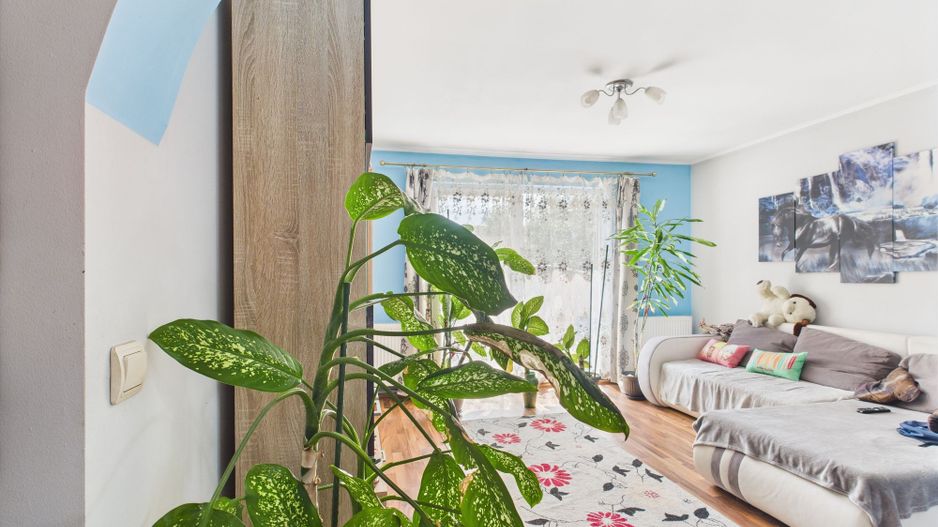 Casă spațioasă cu grădină în Topolovățu Mare - Poză 12