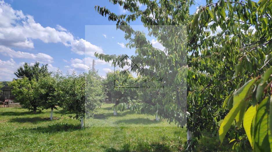 Casa Ciocanesti Cretu - 2 camere cu teren 2539 mp  - Jud. Dambovita - Poză 31