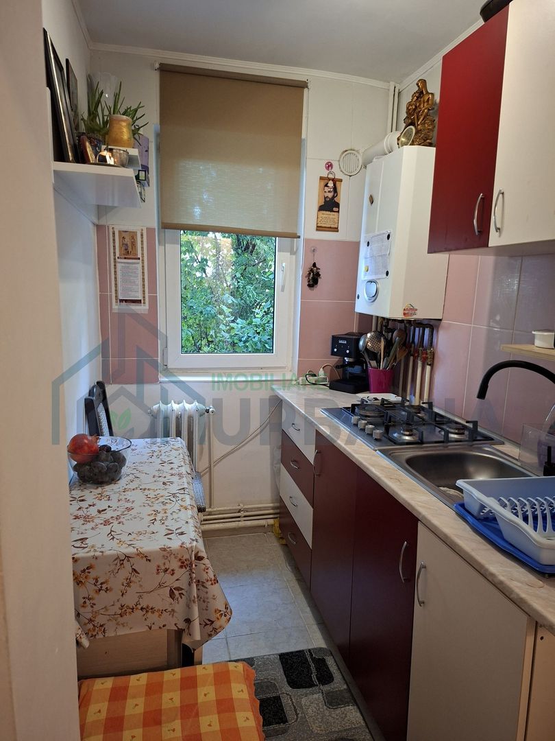 Apartament 2 camere decomandate, Parter, Zona Alexandru (Miron Costin) - Poză 6