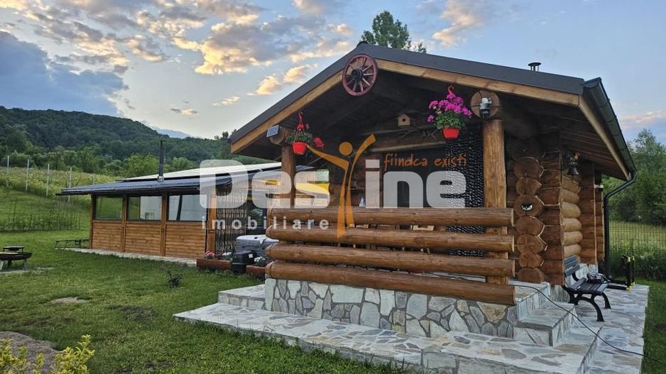 Cabana de Vis Valcanesti Prahova ! - Poză 2