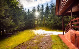 Cabane cu 10 camere Arieseni - Poză 19