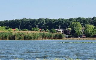 Teren Intravilan Snagov - Poză 2