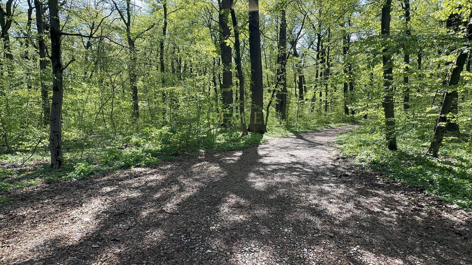 TEREN 7000 MP| DESCHIDERE 40 ML | INTRAVILAN-PADURE | POT 5% | TEREN UNIC | - Poză 3