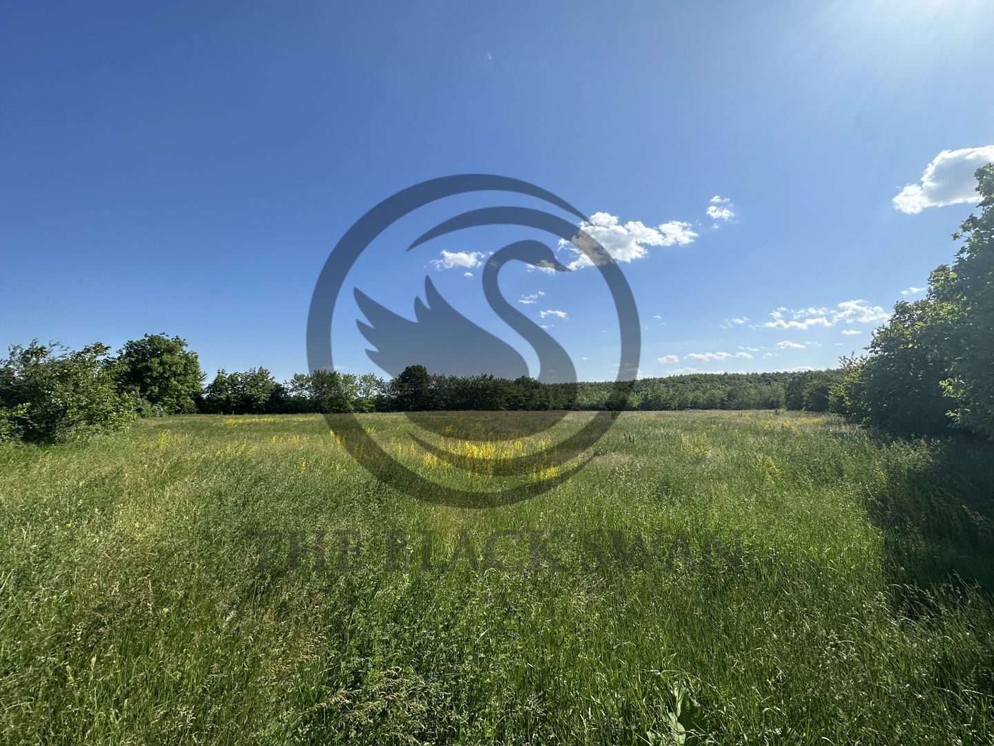 Teren Vanzare 11.000 MP Ghirdoveni | Comision 0% - Poză 10