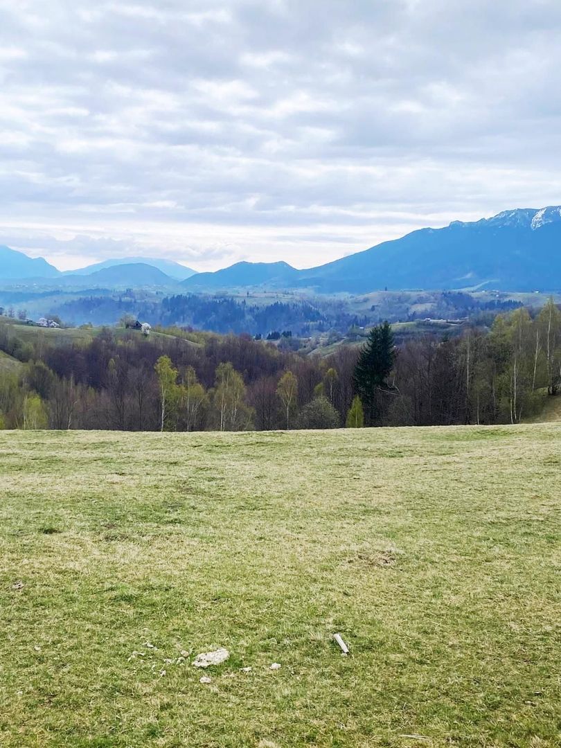 Teren pe platoul satului Pestera - Poză 3