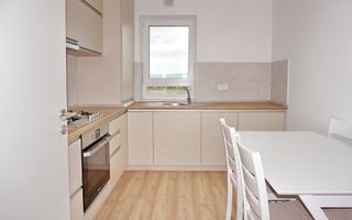 Apartament 2 Camere  Zona Pietonala - Poză 9