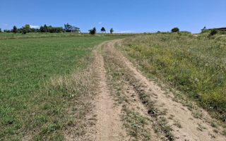 Teren extravilan agricol 3.800 mp | Bungard | 3 căi de acces - Poză 6