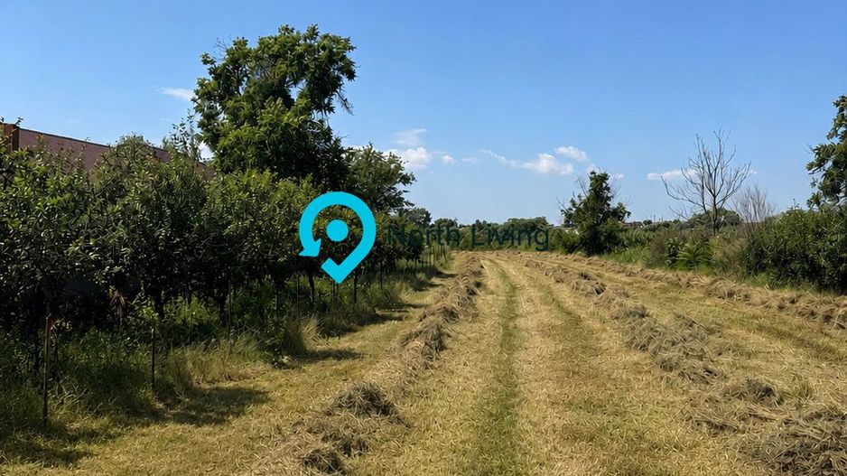 Teren intravilan 4.000 mp Comana (Budeni) | 10 €/mp negociabil | Comis - Poză 2