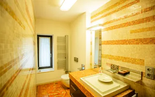 Vila deosebita Braytim - Poză 19