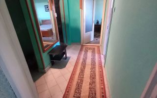De inchiriat apartament cu 2 camere, etaj 3, Siderurgistilor, 1400 lei - Poză 8