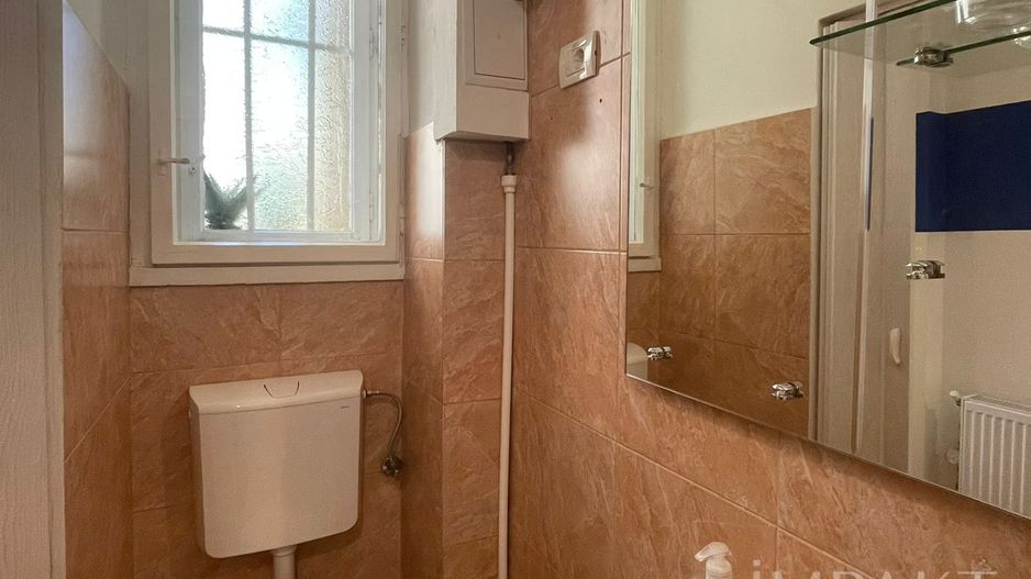 Apartament cu o camera in zona Horea - Poză 10