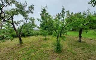 Casa | 1331 mp Teren | Miercurea Sibiului | - Poză 13