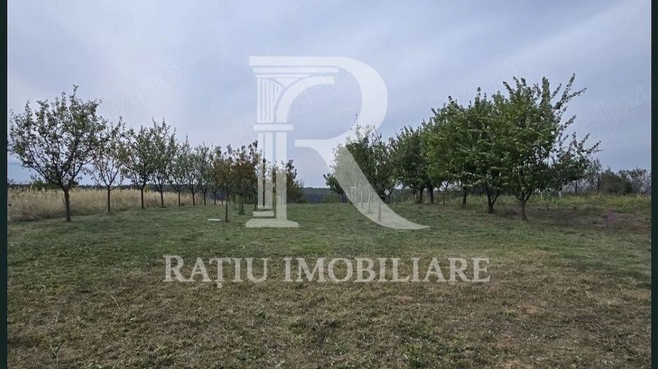 De vanzare | Teren intravilan 1500 mp | Cordau | Cu livada - Poză 5