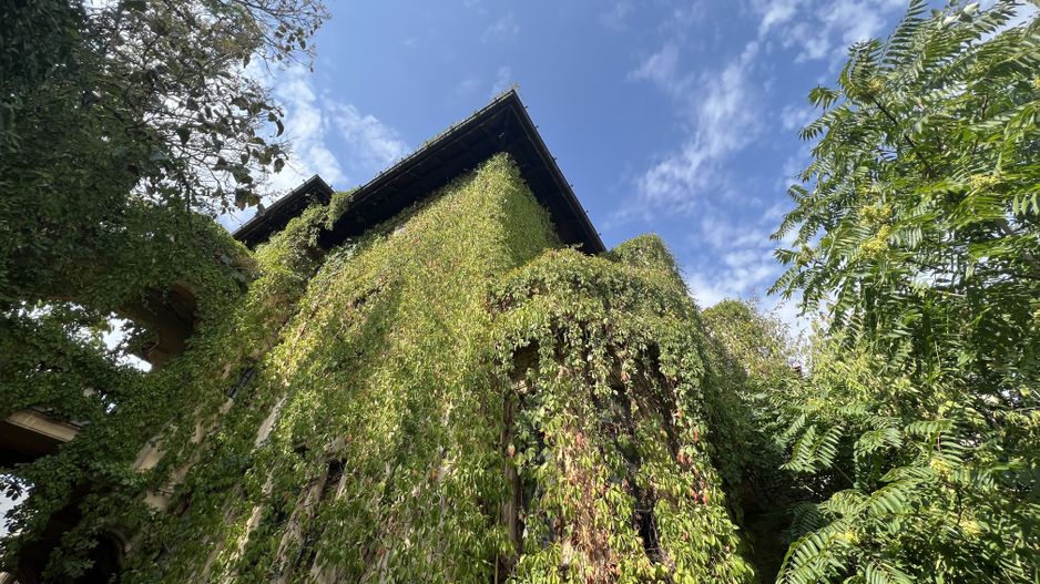 VILA INDIVIDUALA CISMIGIU | INTR. TEMISANA - Poză 22