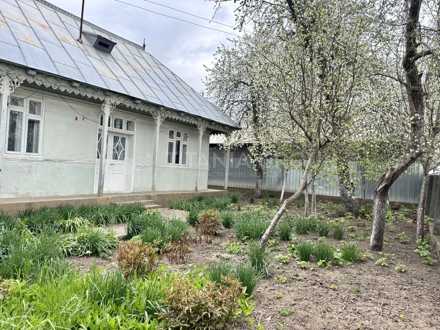 Casa 3 camere+anexe, teren 2400 mp, Damienesti Bacău - Poză 2