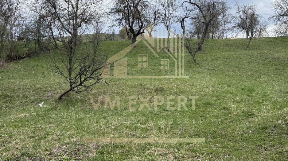 TEREN INTRAVILAN 4365 MP POENARII DE MUȘCEL  JUDEȚUL ARGES - Poză 29