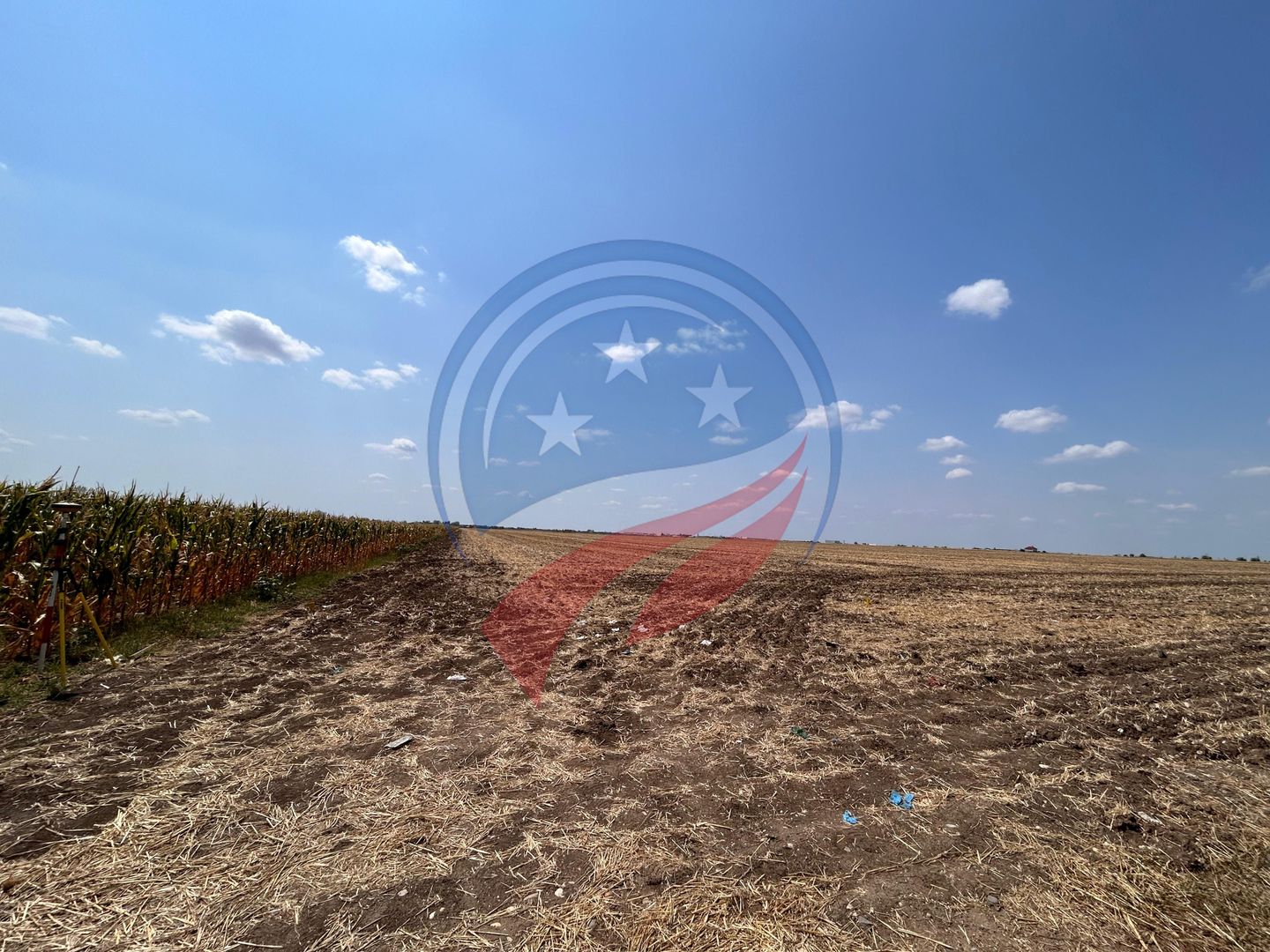 Teren intravilan de vanzare in Pielesti - Poză 4