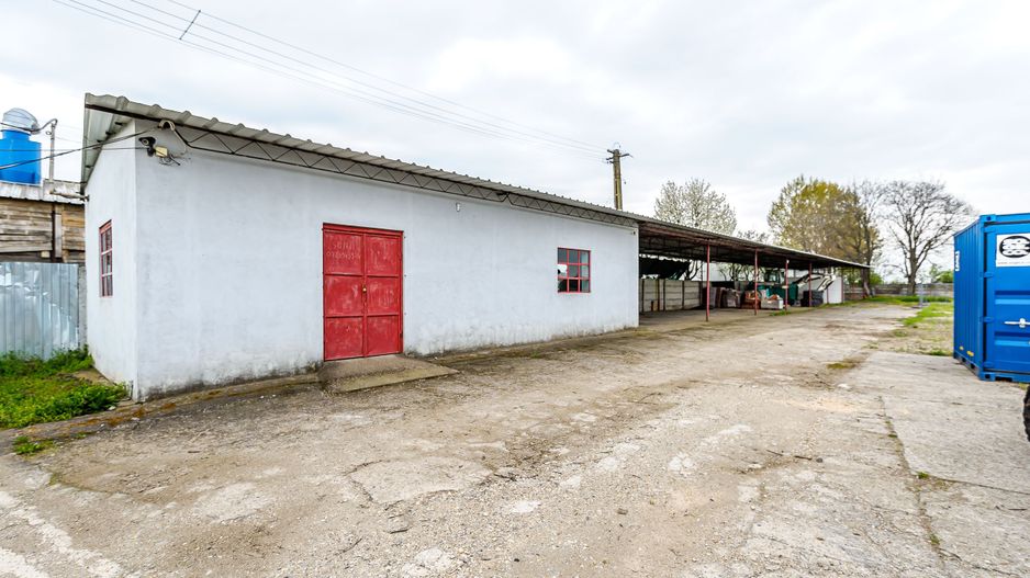 Hale depozitare / producție 1.250 mp în Pecica - Poză 9