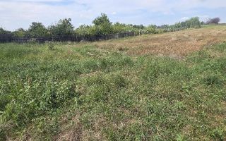 Teren intravilan de vânzare în Iași, Lețcani - 1267 mp - Poză 2