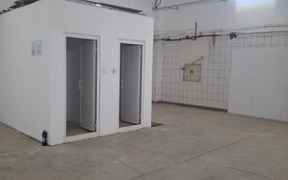 ZONA INDUSTRIALA (COD04)-Hala 270 mp ideal service auto - Poză 4