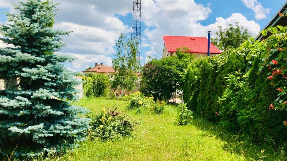 Vila Vulpesti Buzoesti - Poză 27