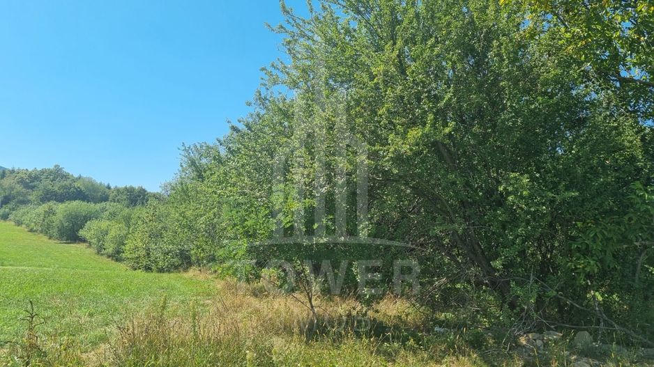 EXCLUSIVITATE! Teren la șoseaua principală | Tocile - Poză 7