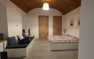 Spatiu Comercial-Apartamente Traian - Cladire integrala - Poză 11