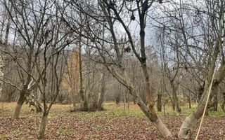 CABANA MODERNA 300 mp 🌲 - Poză 7