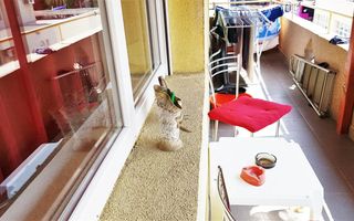 Apartament 4 camere, 78 mp utili, et.1, cu garaj si boxa - Poză 10