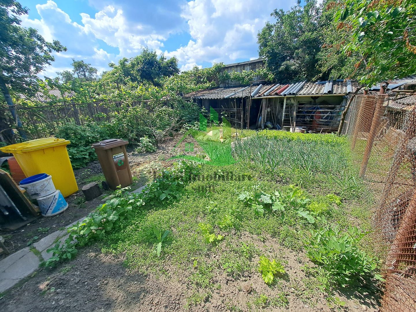 Casa pe un singur nivel cu 342 mp curte, in zona Promenada Mall - Poză 3