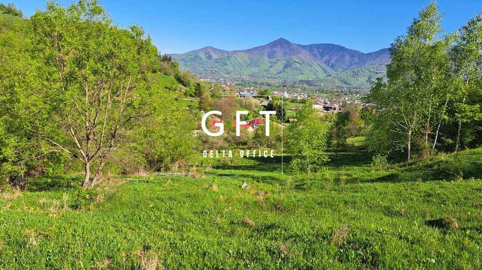 Teren extravilan de vanzare, Bistrita Bargaului- 10 minute de Colibita - Poză 8