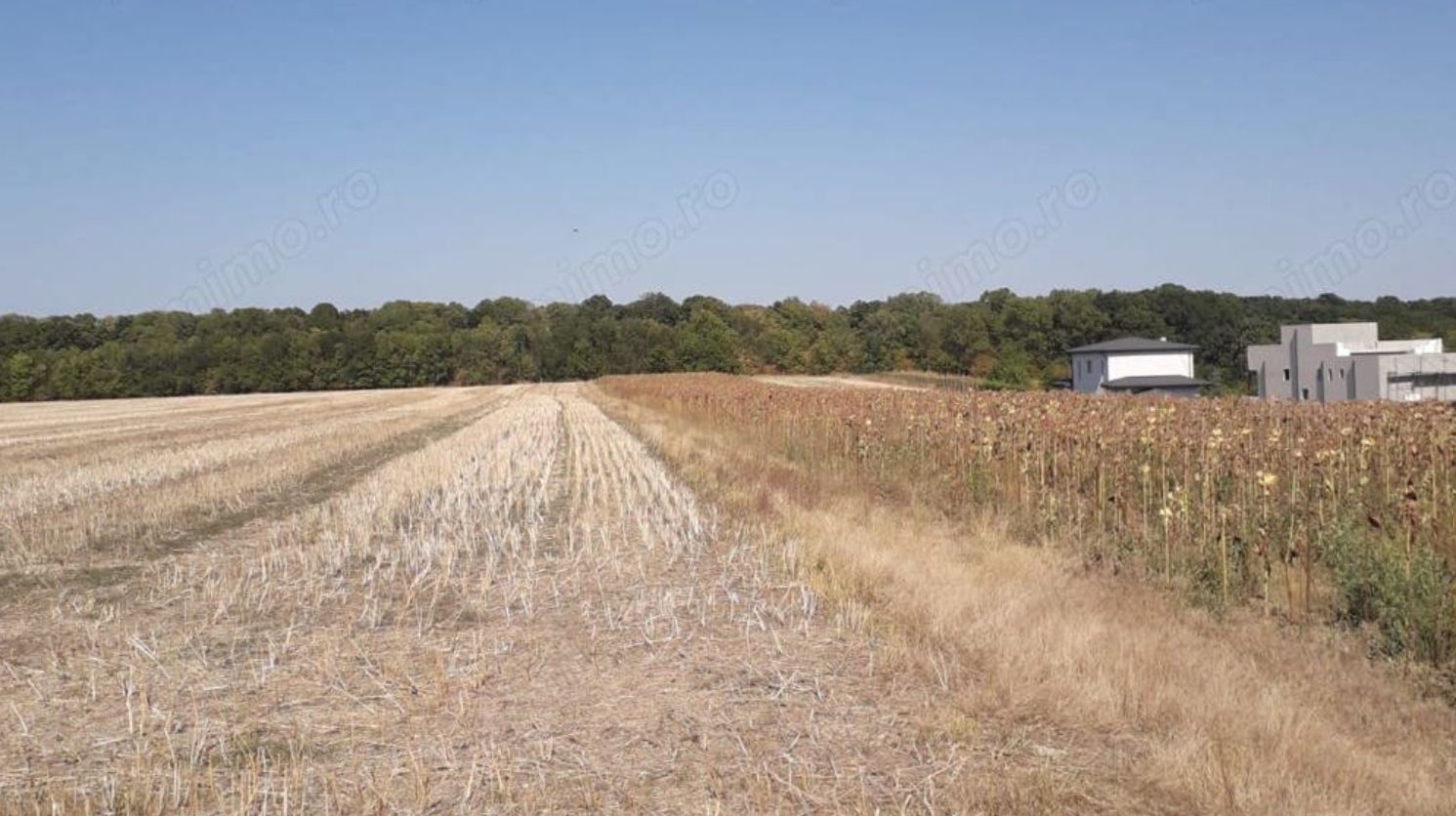 Caciulati! Teren de vanzare - 1500 mp la 15 minute de capitala - Poză 4