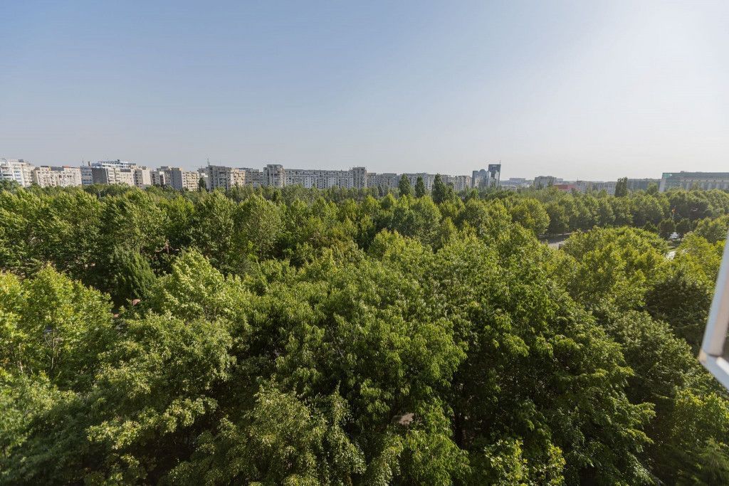 Apartament 2 camere Bulevardul Unirii - Poză 11