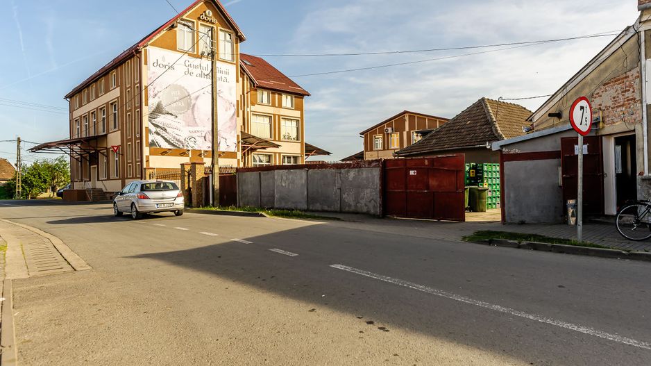 Imobil cu spații comerciale bine poziționat. pe DN în Pecica. - Poză 10