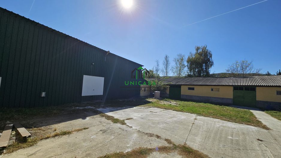 Spatiu Industrial/Depozitare/Hala - Poză 3