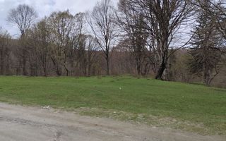 Teren Intravilan |2000Mp| Valea Avrigului - Poză 4