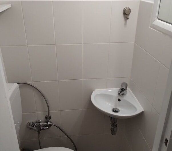 Apartament in vila Calea Calarasilor - Poză 8