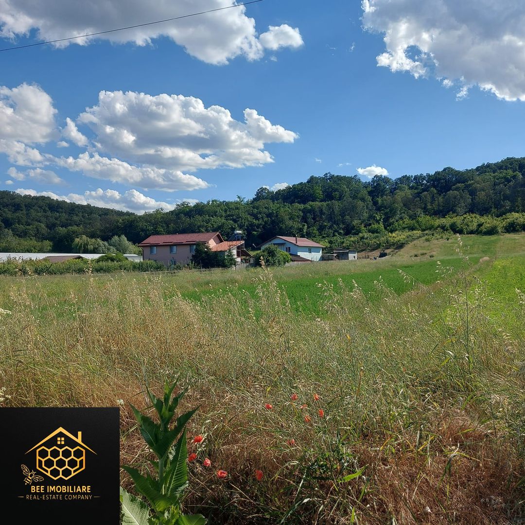 2 parcele teren intravilan, 1200 mp - Mihaita - Cotofenii din Dos - Poză 2