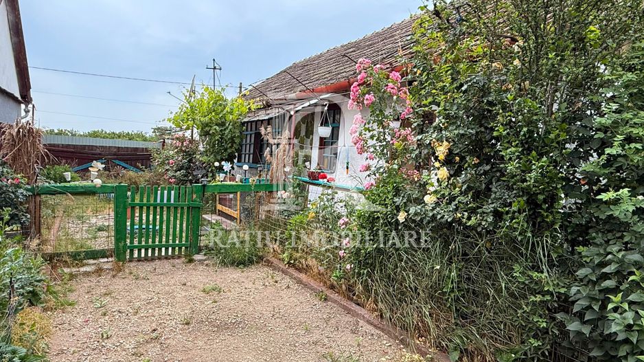 Casa | Cefa | Bihor - Poză 3