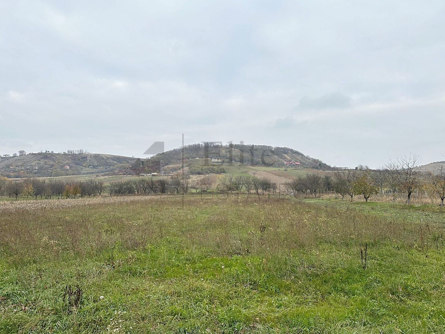 Casa cu 3 Hale si teren 8000 mp in Ulileacu de Cris, Bihor - Poză 13