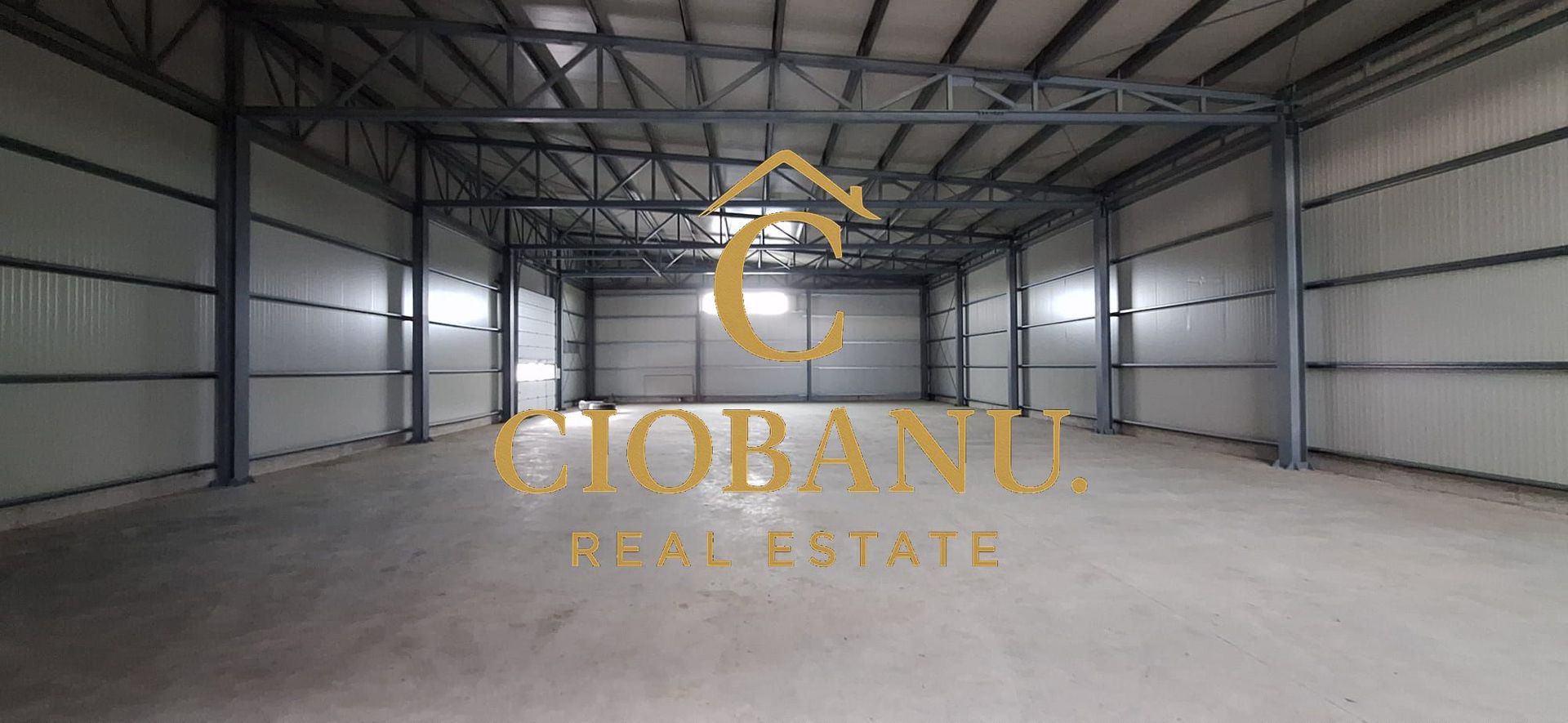 Hale industriale+Cladire de Birouri de inchiriat zona Aeroport - Poză 7