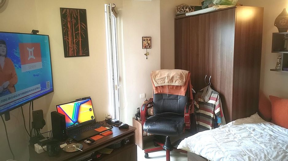 Apartament Plevnei / Orhideea - Poză 3