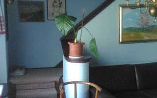 Casă individuală I 4 camere I teren 6000 mp I Cisnădie - Poză 5