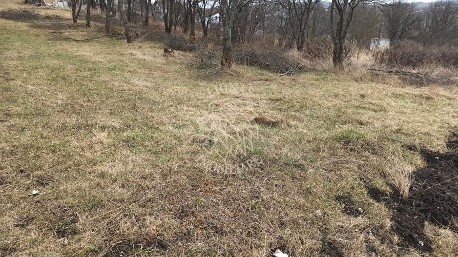 Teren intravilan 1953 mp utilitati- 4800 E/ ar Zona Valea Sigmirului - Poză 3