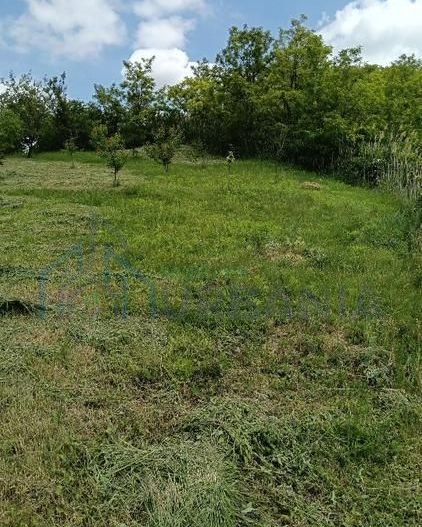 Teren intravilan de vanzare, Vorovesti, comuna Miroslava - Poză 6